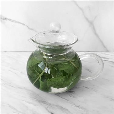 &quot;Green Tea and Vinegar Diet