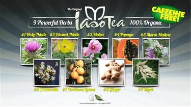 &quot;Green Tea Fat Burner Dietary Supplement Side Effects