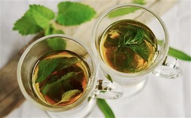 &quot;Ingredients in Lipton Diet Green Tea