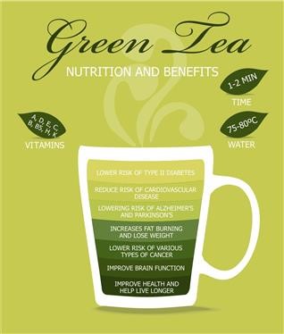 &quot;Dieters Green Tea Ingredients