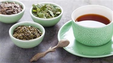 &quot;How Much Weight Can I Lose on a Green Tea Diet