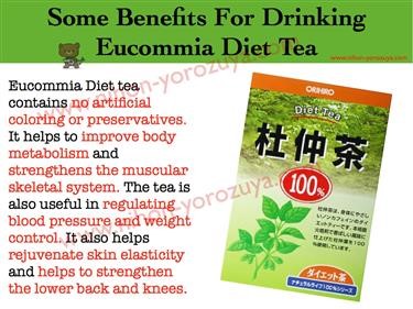 &quot;Benefits of Kirkland Diet Green Tea With Citrus
